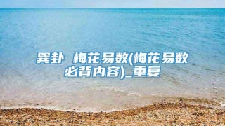 巽卦 梅花易数(梅花易数必背内容)_重复