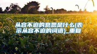 从容不迫的意思是什么(表示从容不迫的词语)_重复