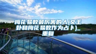 梅花易数最厉害的人(文王卦和梅花易数作为占卜)_重复