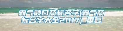 霸气顺口商标名字(霸气商标名字大全2017)_重复