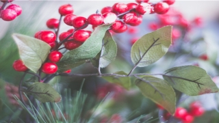 86年属牛的是什么命(赚钱赚到手软)