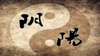 八字纯阴纯阳是什么意思(八字纯阴的人)