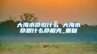 大海水命怕什么 大海水命跟什么命相克_重复