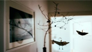 男孩脸上有痣图解(男人痣相图解之眉眼痣)