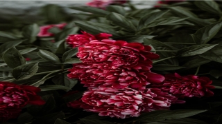 2021年出生人运势(运势2021年运程)_重复