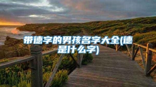 带德字的男孩名字大全(德是什么字)
