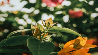 金命人都是哪些年出生的(金命缺什么及五行相生相克的关系)