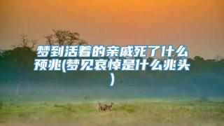 梦到活着的亲戚死了什么预兆(梦见哀悼是什么兆头)