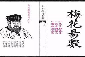 梅花易数高级断卦(跟我学7000年前的国学文化二十四)