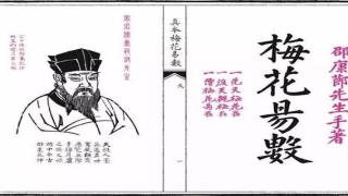 梅花易数高级断卦(跟我学7000年前的国学文化二十四)