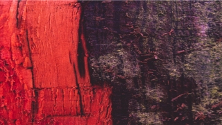 87年属兔配什么属相好(87兔男和87兔女适合做夫妻吗)