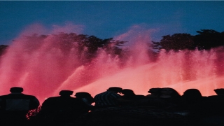 看相面部测试(寿命都藏在脸上)