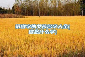 带燮字的女孩名字大全(燮念什么字)