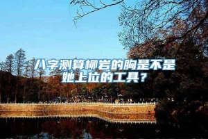 八字测算柳岩的胸是不是她上位的工具？