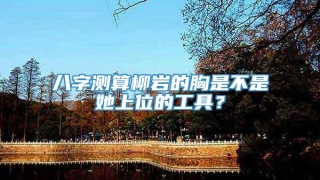 八字测算柳岩的胸是不是她上位的工具？