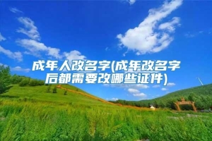 成年人改名字(成年改名字后都需要改哪些证件)