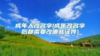 成年人改名字(成年改名字后都需要改哪些证件)