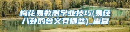 梅花易数测学业技巧(易经八卦的含义有哪些)_重复