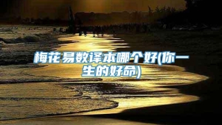 梅花易数译本哪个好(你一生的好命)