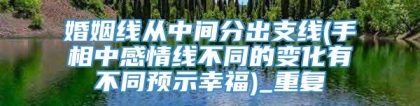 婚姻线从中间分出支线(手相中感情线不同的变化有不同预示幸福)_重复