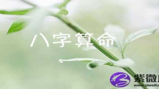 5月八字算命 5月出生命主八字算命_重复