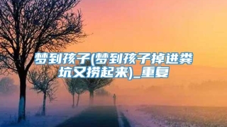 梦到孩子(梦到孩子掉进粪坑又捞起来)_重复