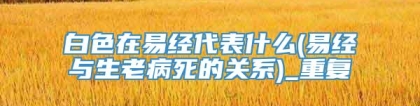 白色在易经代表什么(易经与生老病死的关系)_重复