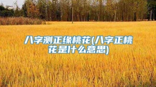 八字测正缘桃花(八字正桃花是什么意思)