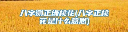 八字测正缘桃花(八字正桃花是什么意思)