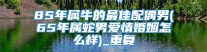 85年属牛的最佳配偶男(65年属蛇男爱情婚姻怎么样)_重复