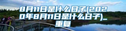 8月11日是什么日子(2020年8月11日是什么日子)_重复