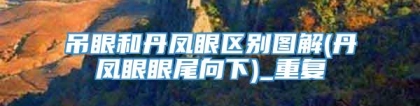 吊眼和丹凤眼区别图解(丹凤眼眼尾向下)_重复