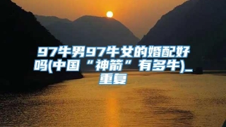 97牛男97牛女的婚配好吗(中国“神箭”有多牛)_重复