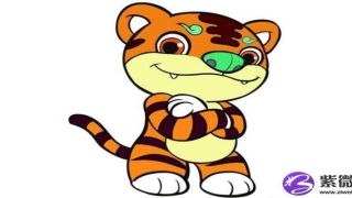 面颧骨高的女人(女人有颧骨面相)