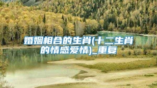 婚姻相合的生肖(十二生肖的情感爱情)_重复