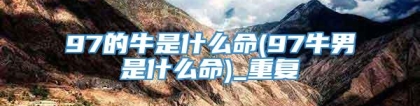 97的牛是什么命(97牛男是什么命)_重复