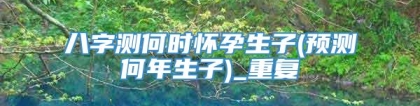 八字测何时怀孕生子(预测何年生子)_重复