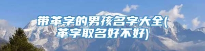 带革字的男孩名字大全(革字取名好不好)