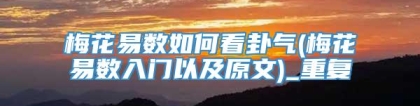梅花易数如何看卦气(梅花易数入门以及原文)_重复