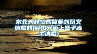东北大鼓罗成算卦刘凤义演唱的(实拍大街上坠子高手演唱)