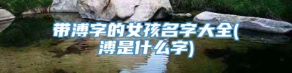 带溥字的女孩名字大全(溥是什么字)