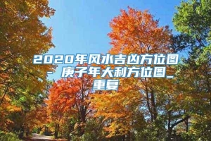 2020年风水吉凶方位图 - 庚子年大利方位图_重复