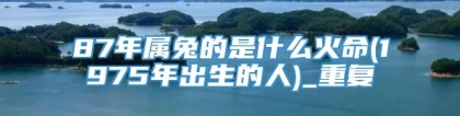 87年属兔的是什么火命(1975年出生的人)_重复