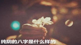 八字纯阴纯阳的人(八字纯阴纯阳)