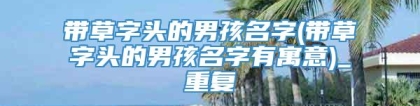 带草字头的男孩名字(带草字头的男孩名字有寓意)_重复