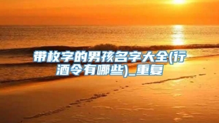 带枚字的男孩名字大全(行酒令有哪些)_重复