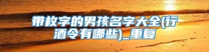 带枚字的男孩名字大全(行酒令有哪些)_重复