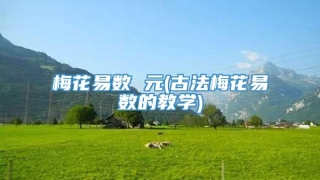 梅花易数 元(古法梅花易数的教学)