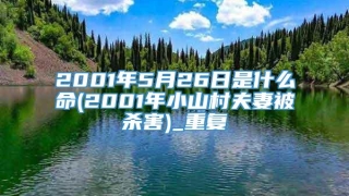 2001年5月26日是什么命(2001年小山村夫妻被杀害)_重复