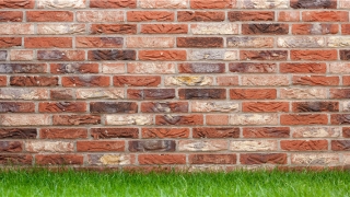 甲寅日柱婚配(八字的相符代表着婚姻中的幸福)